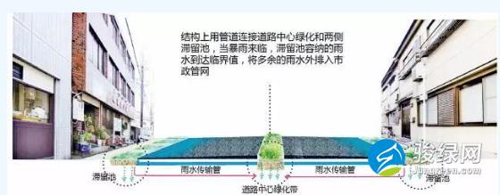 海绵城市设计全措施