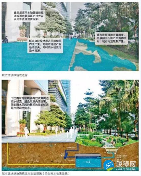 海绵城市设计全措施